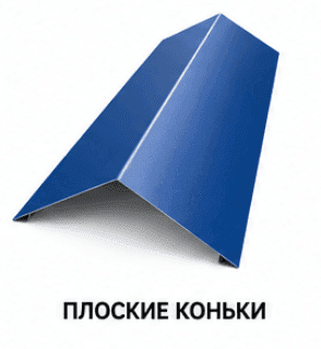 Плоские коньки
